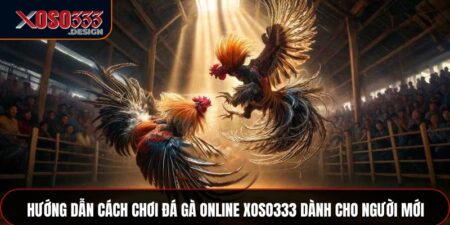 Cách chơi đá gà online xoso333