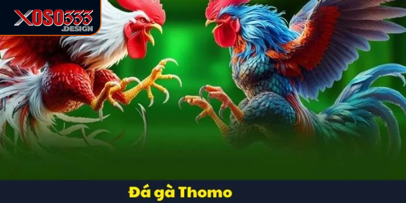 Cược kết quả theo tỷ số đòi hỏi kỹ năng phân tích và kinh nghiệm cao