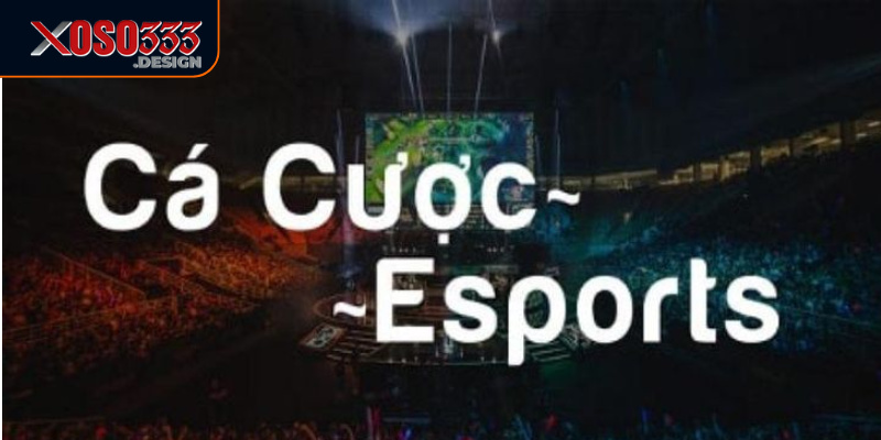 Game Esports Xoso333 mang đến nhiều kèo cược hấp dẫn