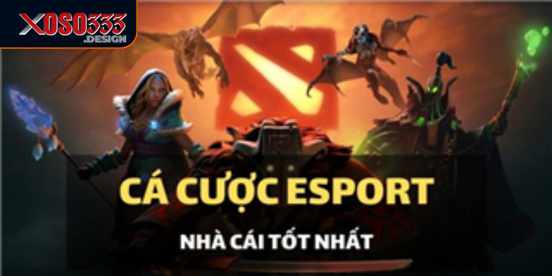 Game Esports Xoso333 luôn cập nhật những giải đấu mới nhất