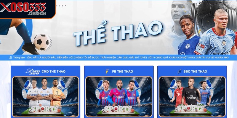 Thể thao Xoso333 cung cấp nhiều lựa chọn cá cược hấp dẫn 