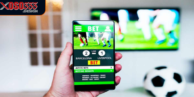 Tỷ lệ cá cược Xoso333 đóng vai trò quan trọng